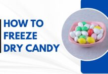 How to Freeze Dry Candy With And Without a Machine? how to freeze dry candy