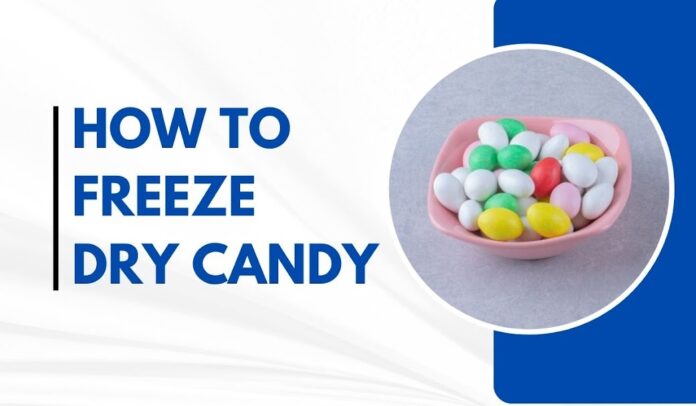 how to freeze dry candy